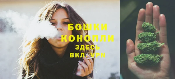 гидра Гусь-Хрустальный