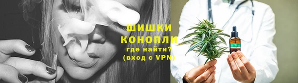 mdpv Гусиноозёрск