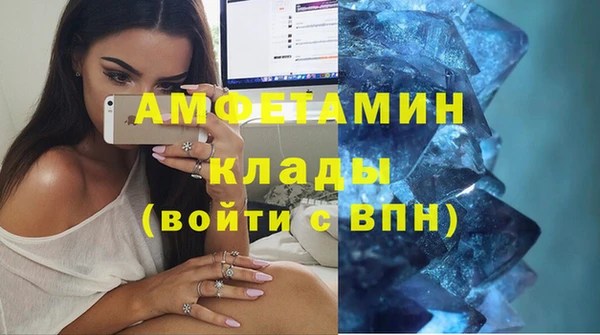 гидра Гусь-Хрустальный