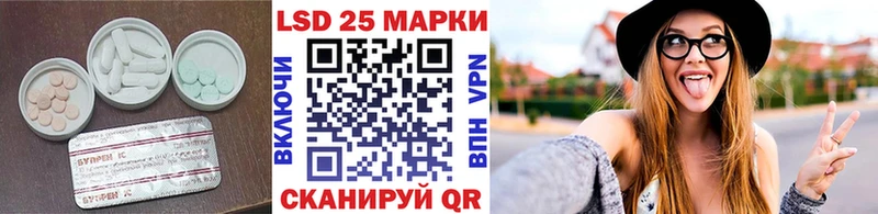 где купить наркотик  Каменка  блэк спрут ссылки  Лсд 25 экстази кислота 