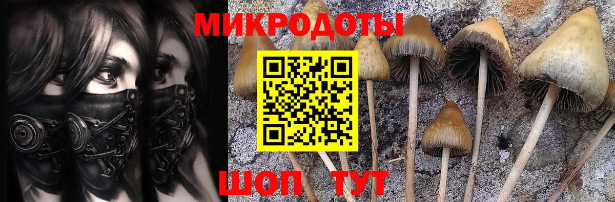 Галлюциногенные грибы ЛСД Каменка